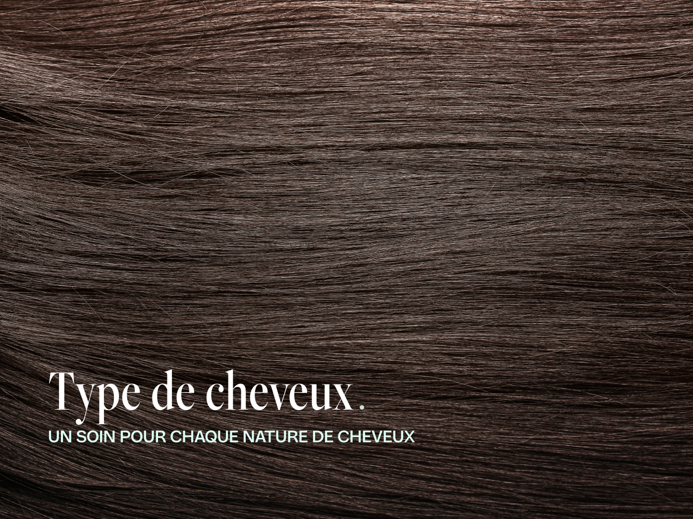 Cheveux secs : retrouver de la souplesse en 4 semaines