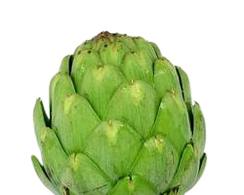 Artichaut