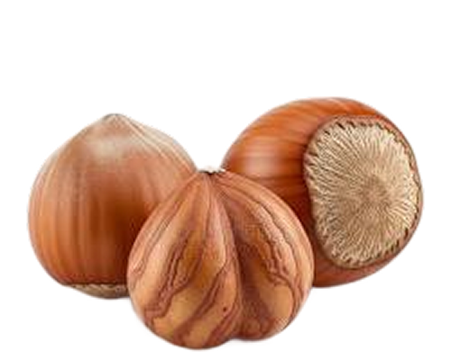 Noisette