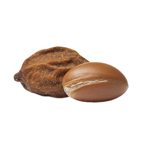 Organic Argan