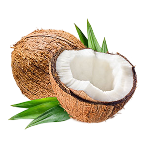 Cocoa