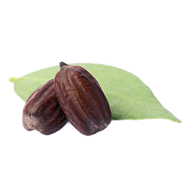 Jojoba