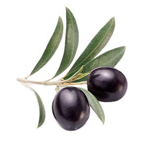 Organic Olive