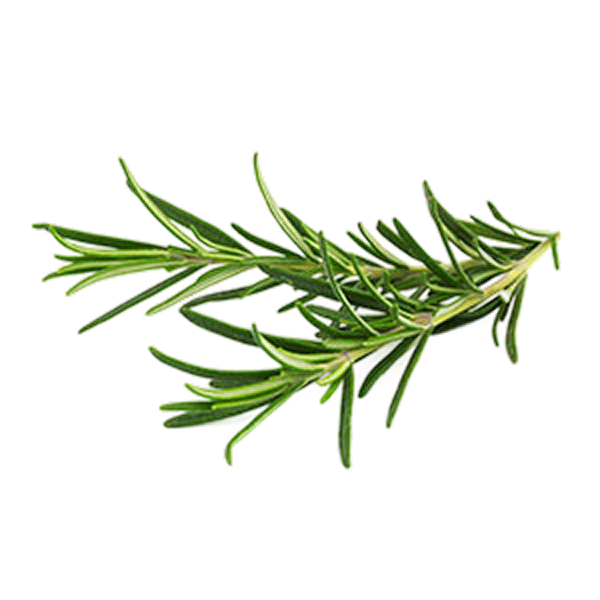 Rosemary