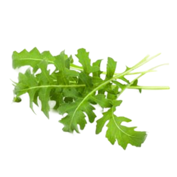 Arugula