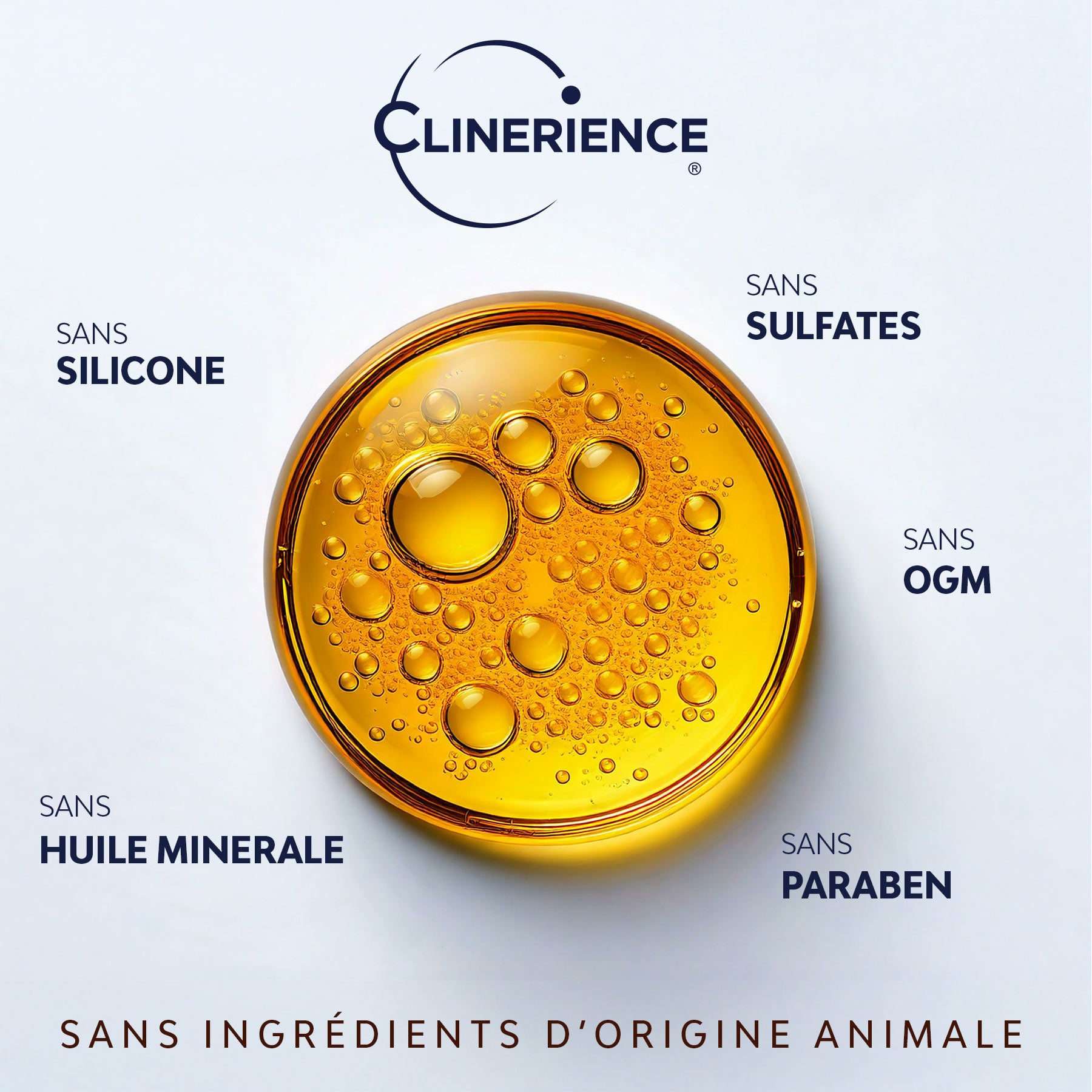 BN - SHAMPOING CHEVEUX SECS