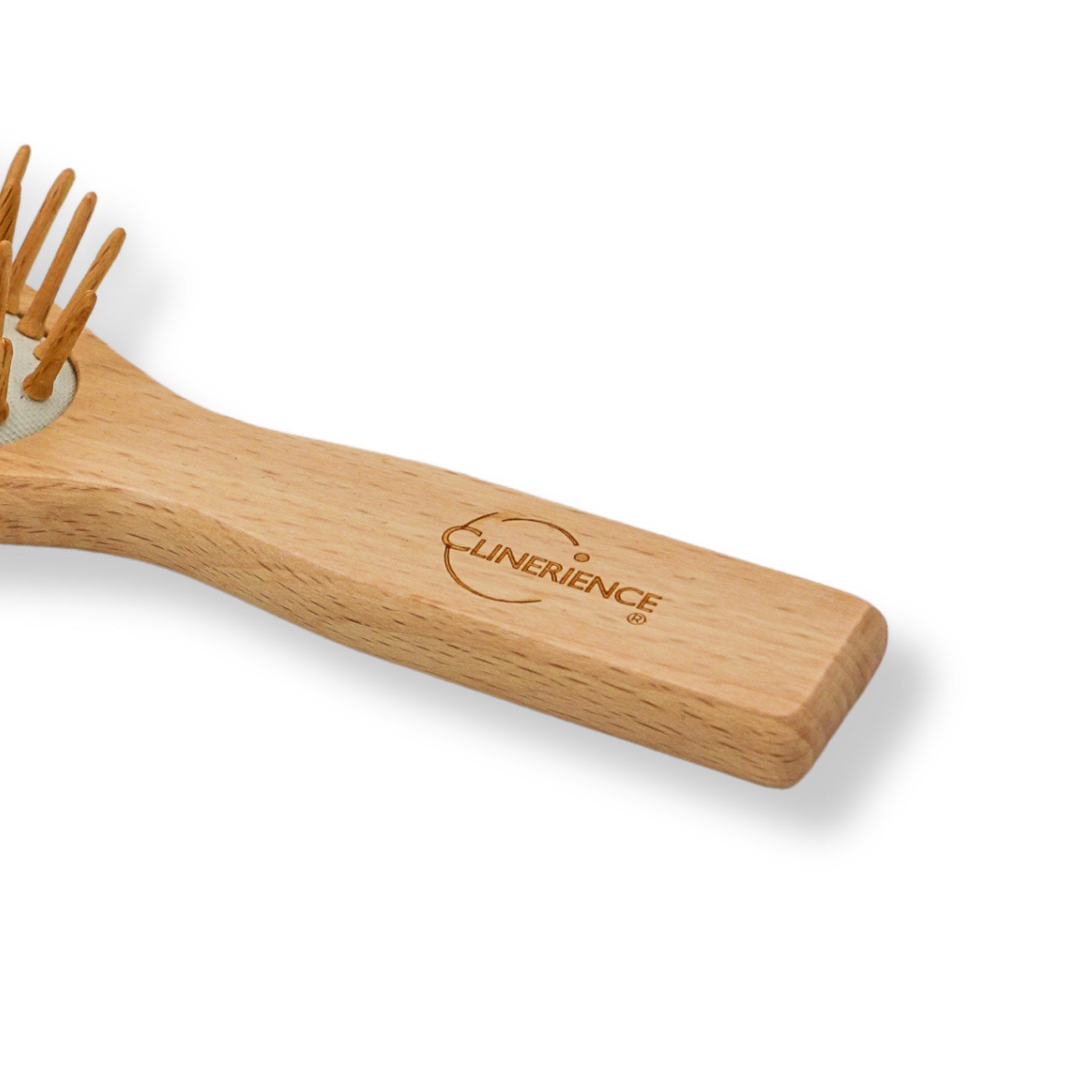SMALL BEECH WOOD BRUSH