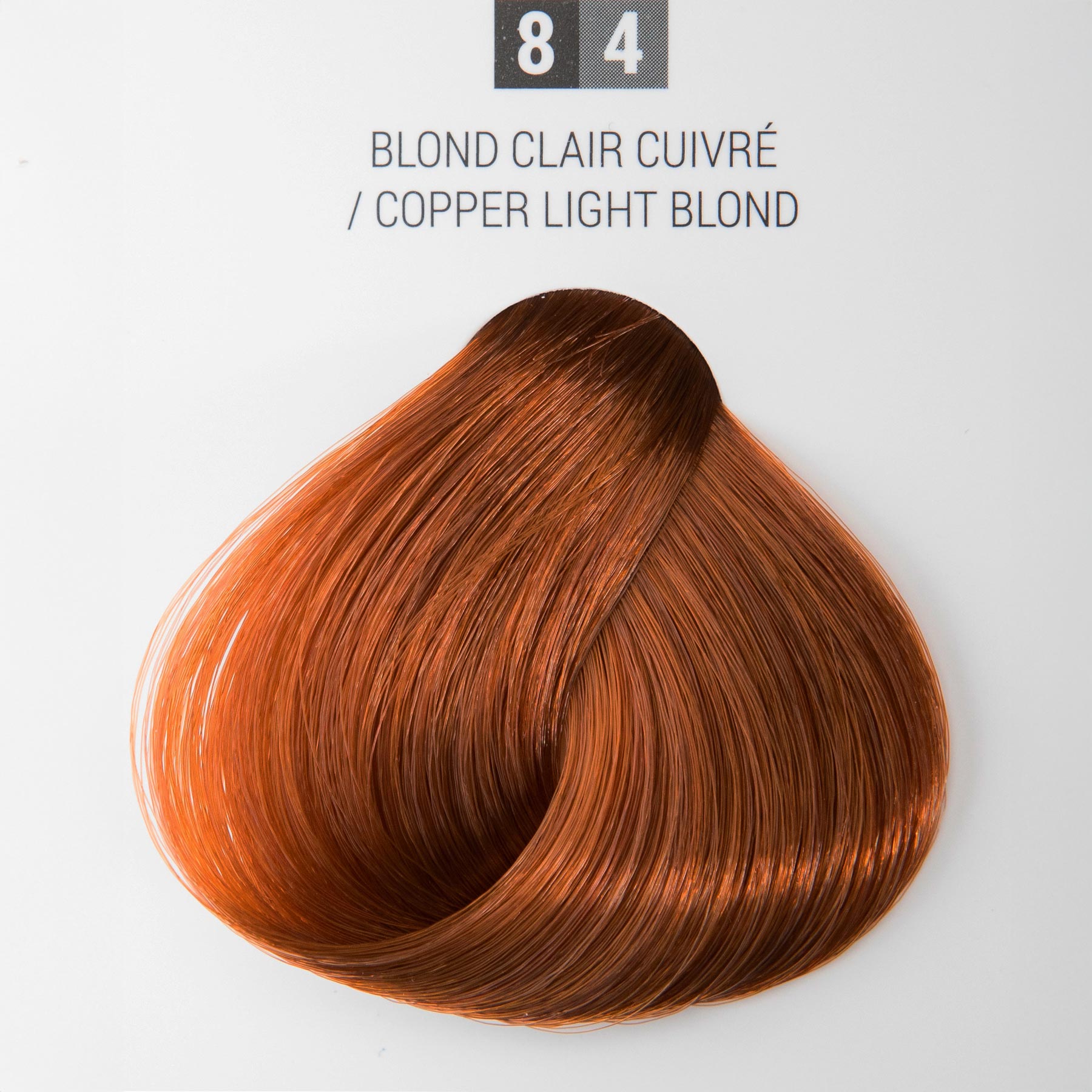 COULSSPPD84 | media