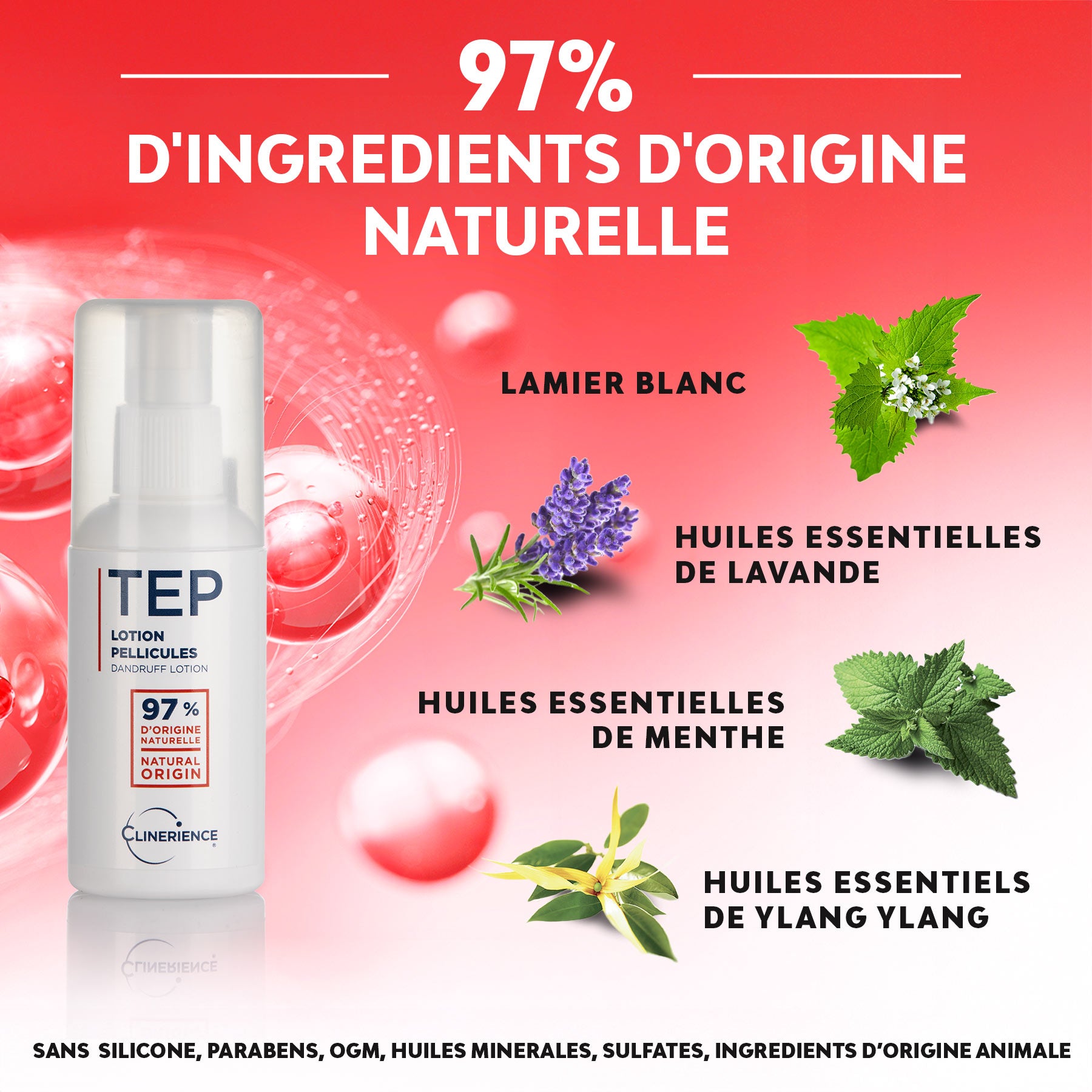 TEP | media