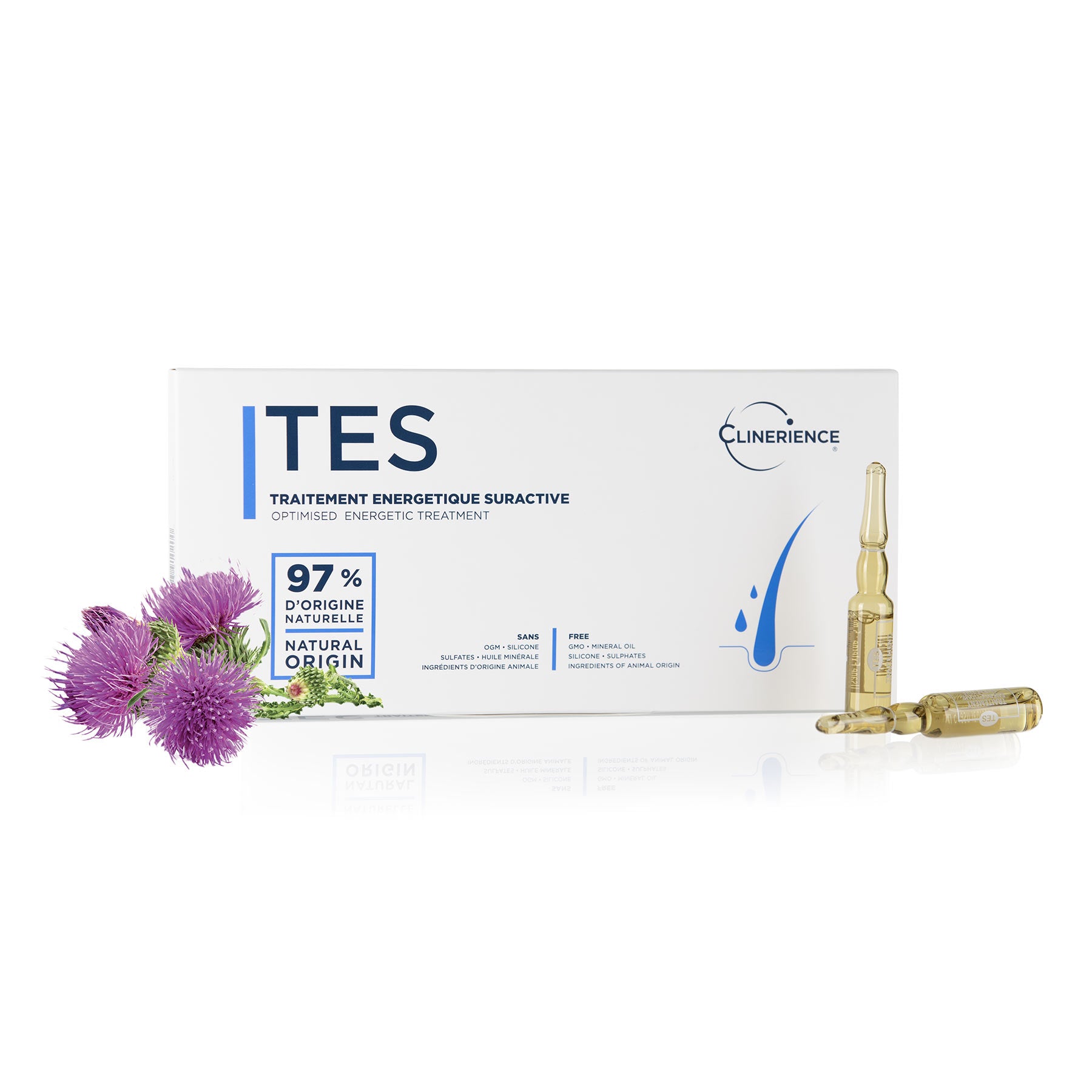TES0313 | media
