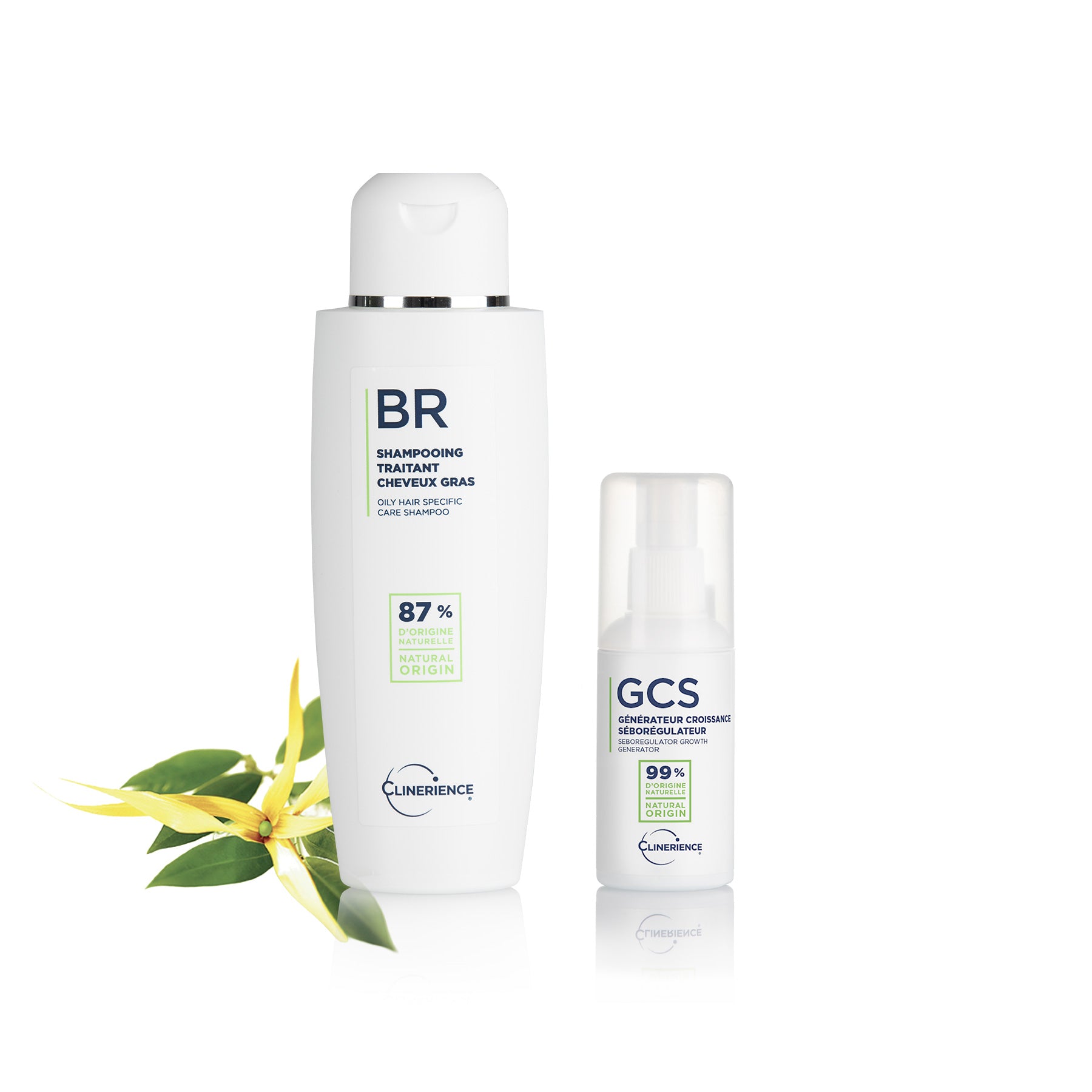 OILY HAIR ROUTINE 2.1
