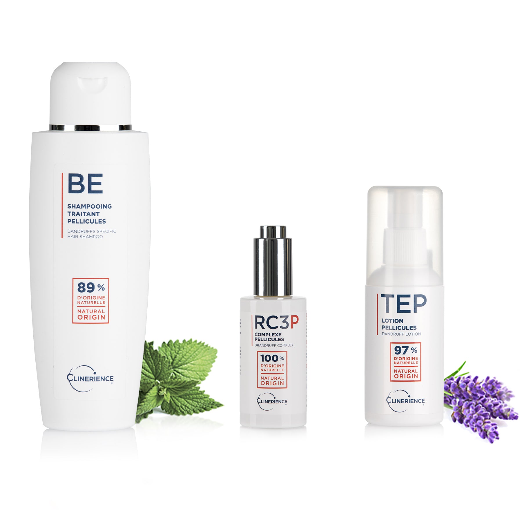 OILY SCALP DANDRUFF ROUTINE 3.1