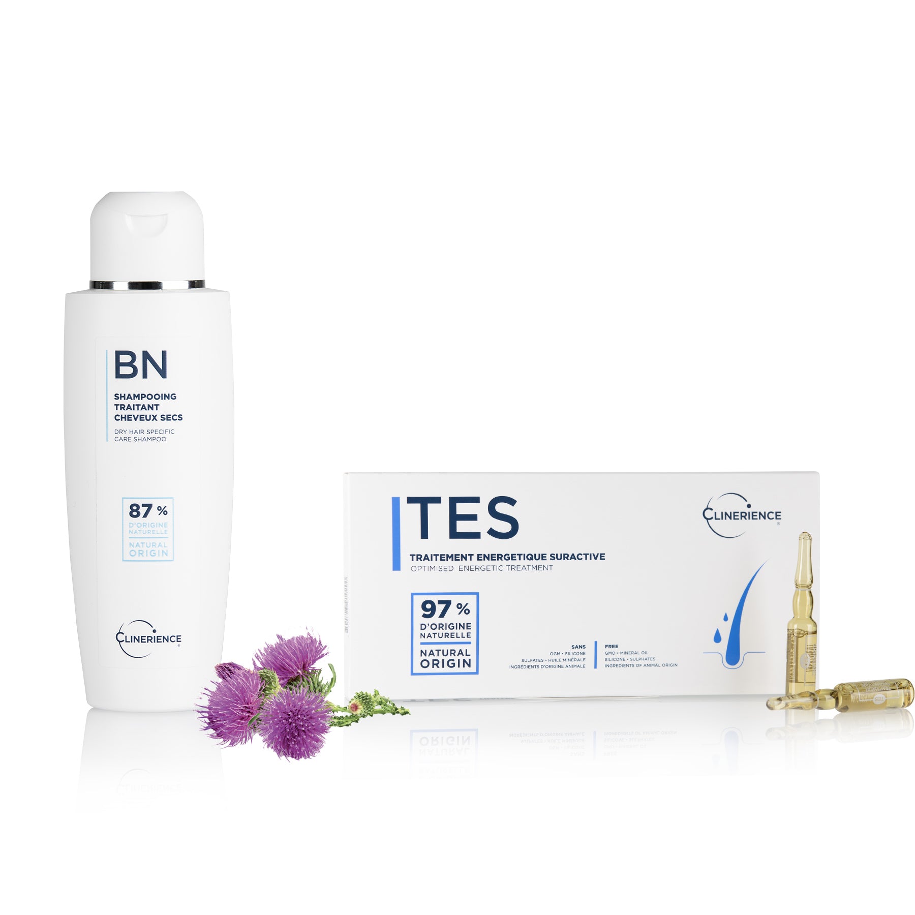 DRY SCALP ROUTINE 2